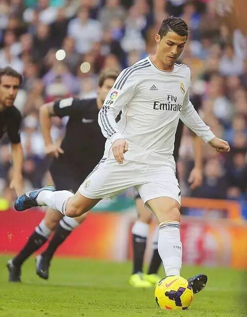 表达身份的 表达身份的